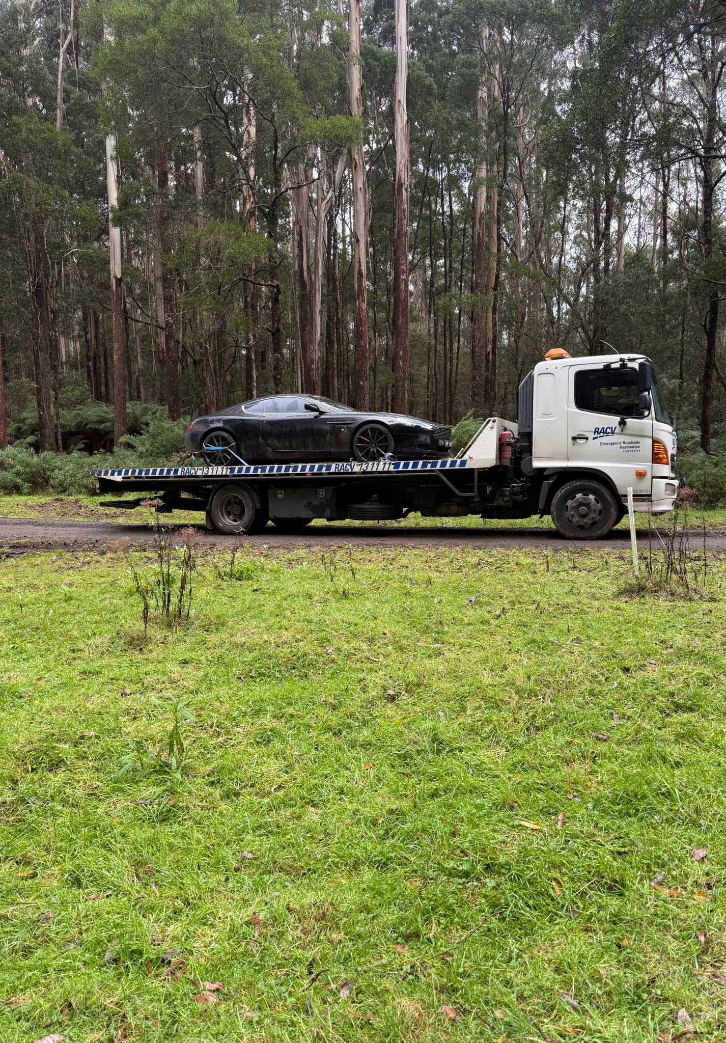 Aston Martin recovery truck in the Otways forest